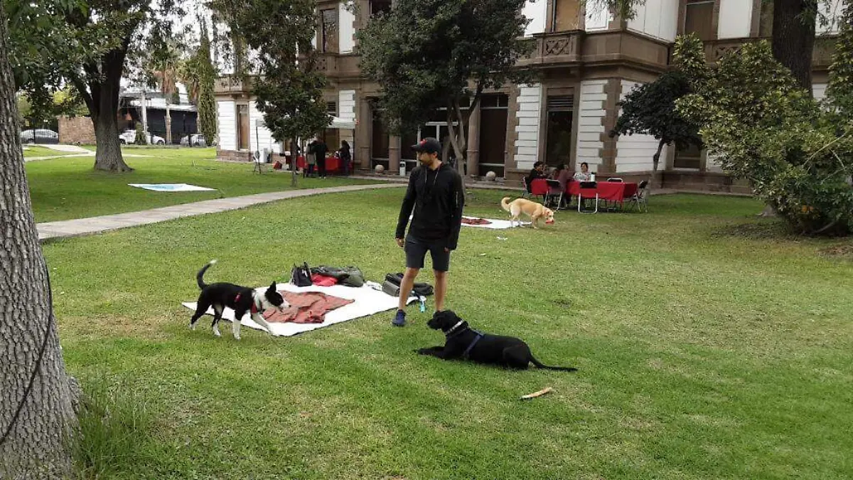 Picnic con mascotas en Museo Francisco Cossío (3)